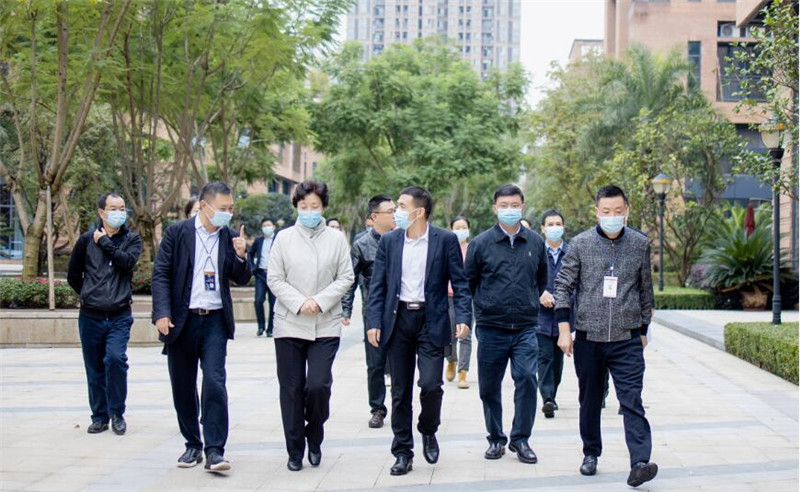 2020年11月4日重庆市委常委、统战部部长李静调研园区