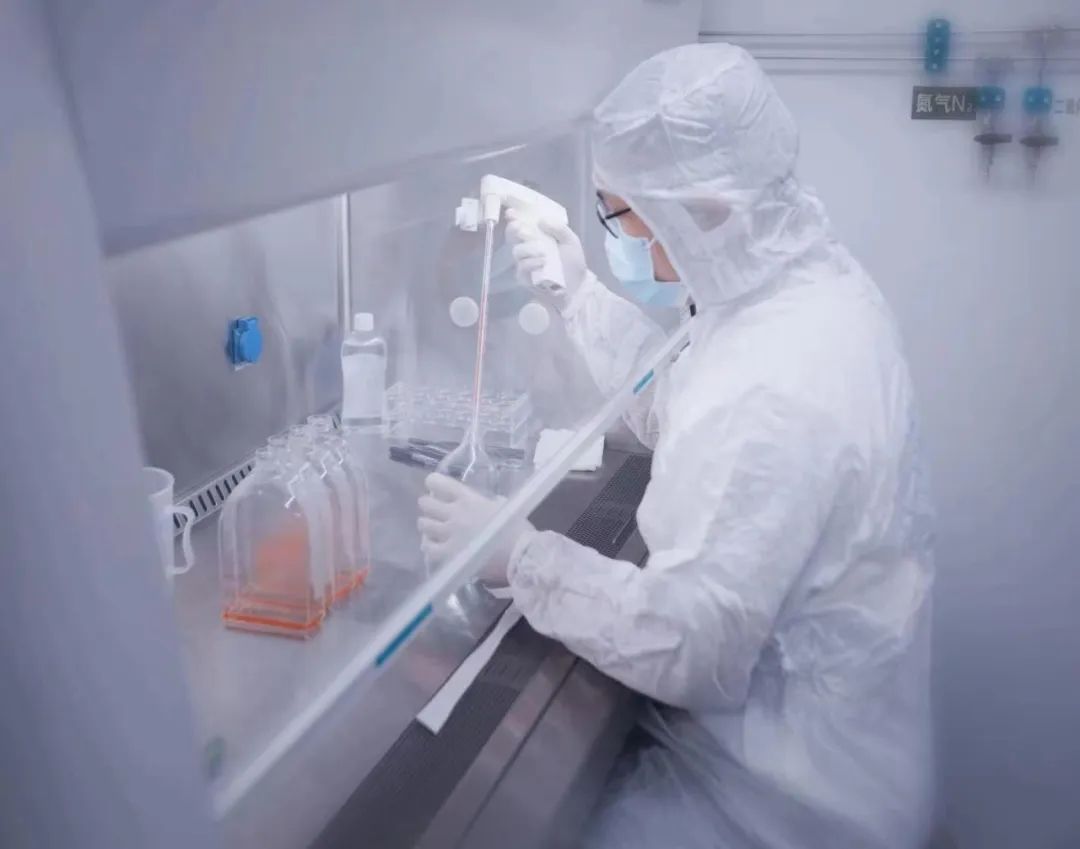 2b91bb21-00db-44ea-9d14-54a92998c29b